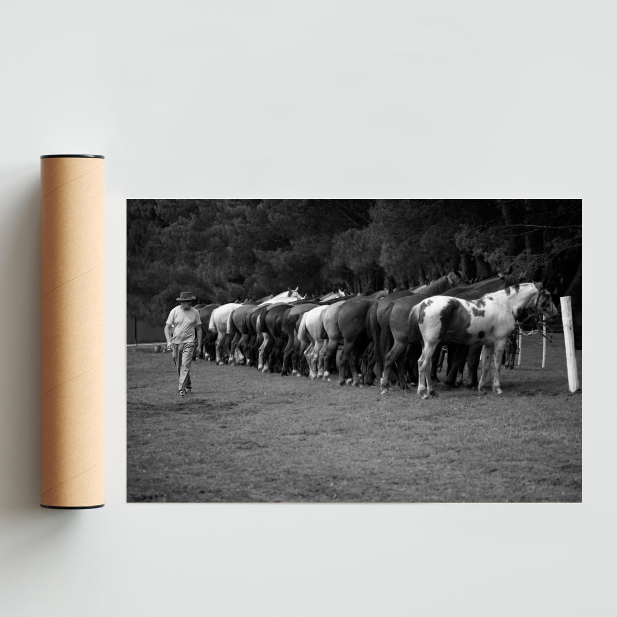 Tropillero - FotoH solo print
