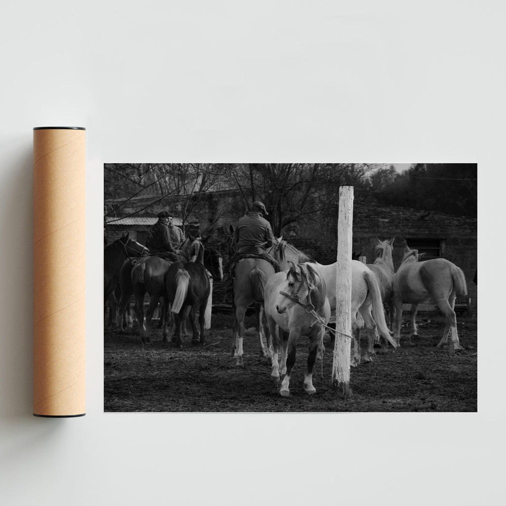Caballada - FotoH solo print