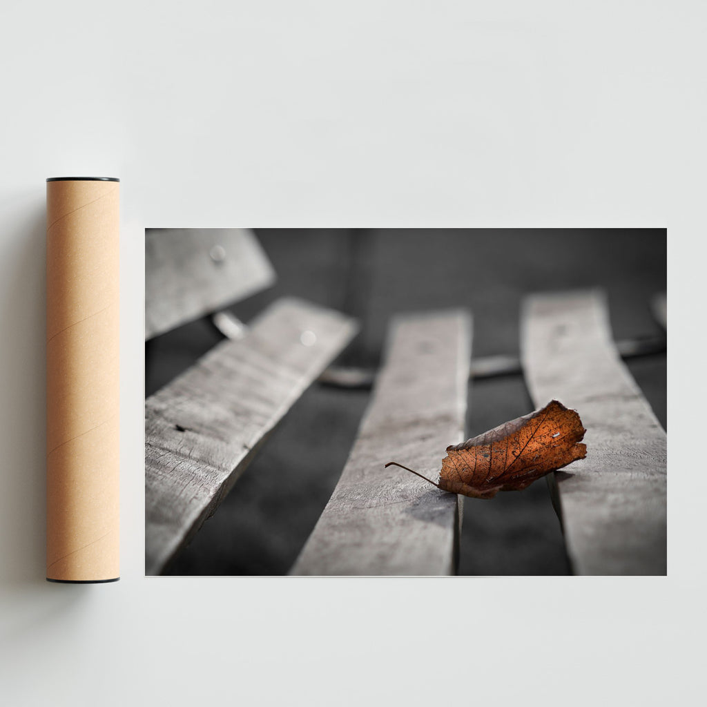 Ultima hoja de otoño - FotoH solo print