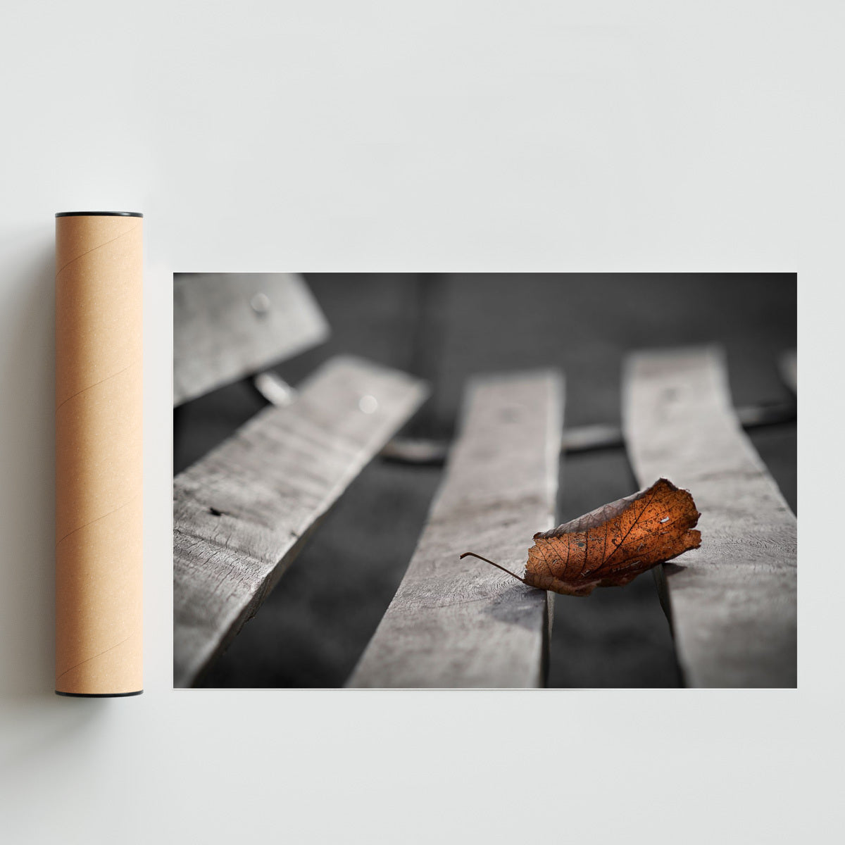 Ultima hoja de otoño - FotoH solo print