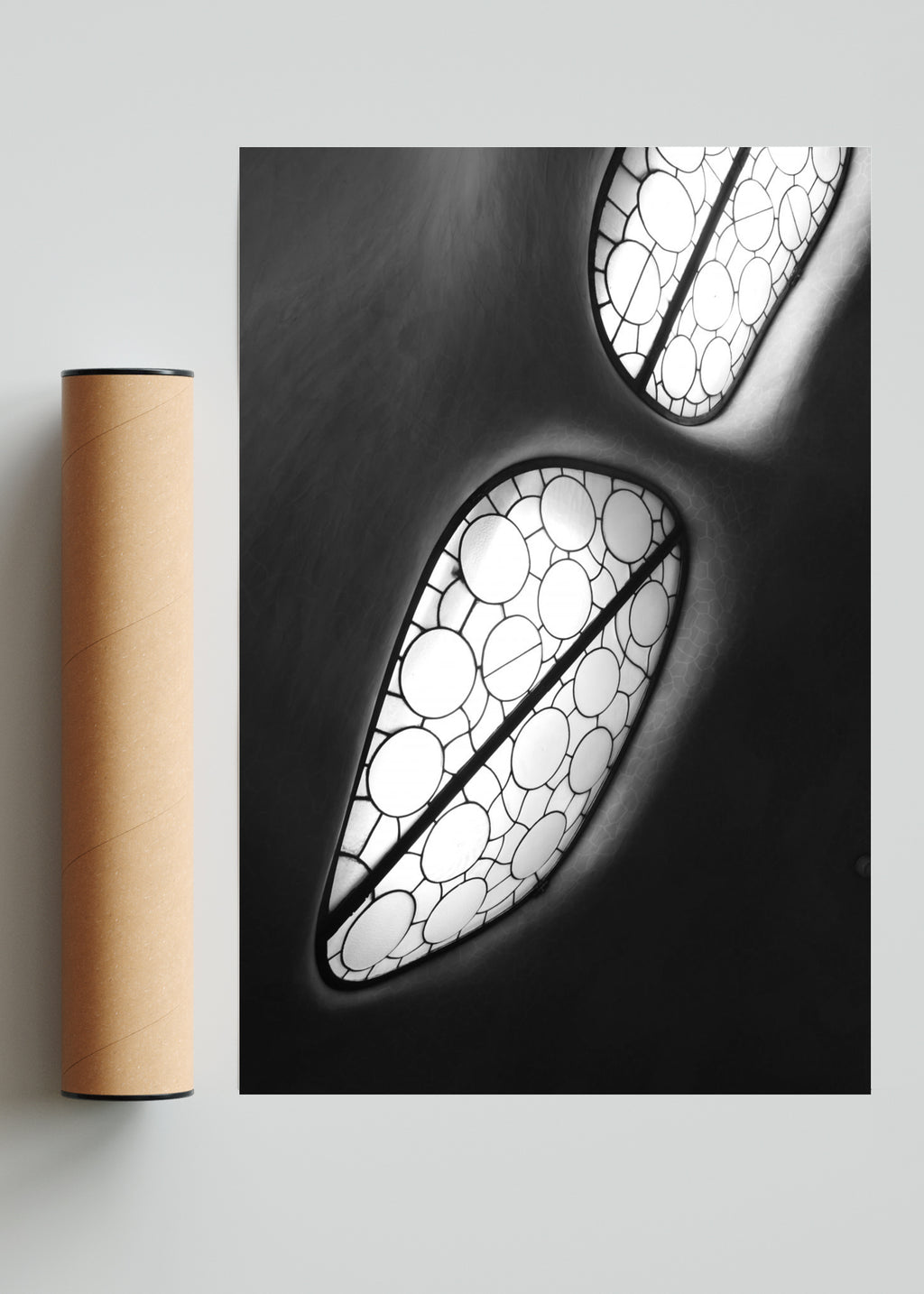 Amebas - FotoV Solo print
