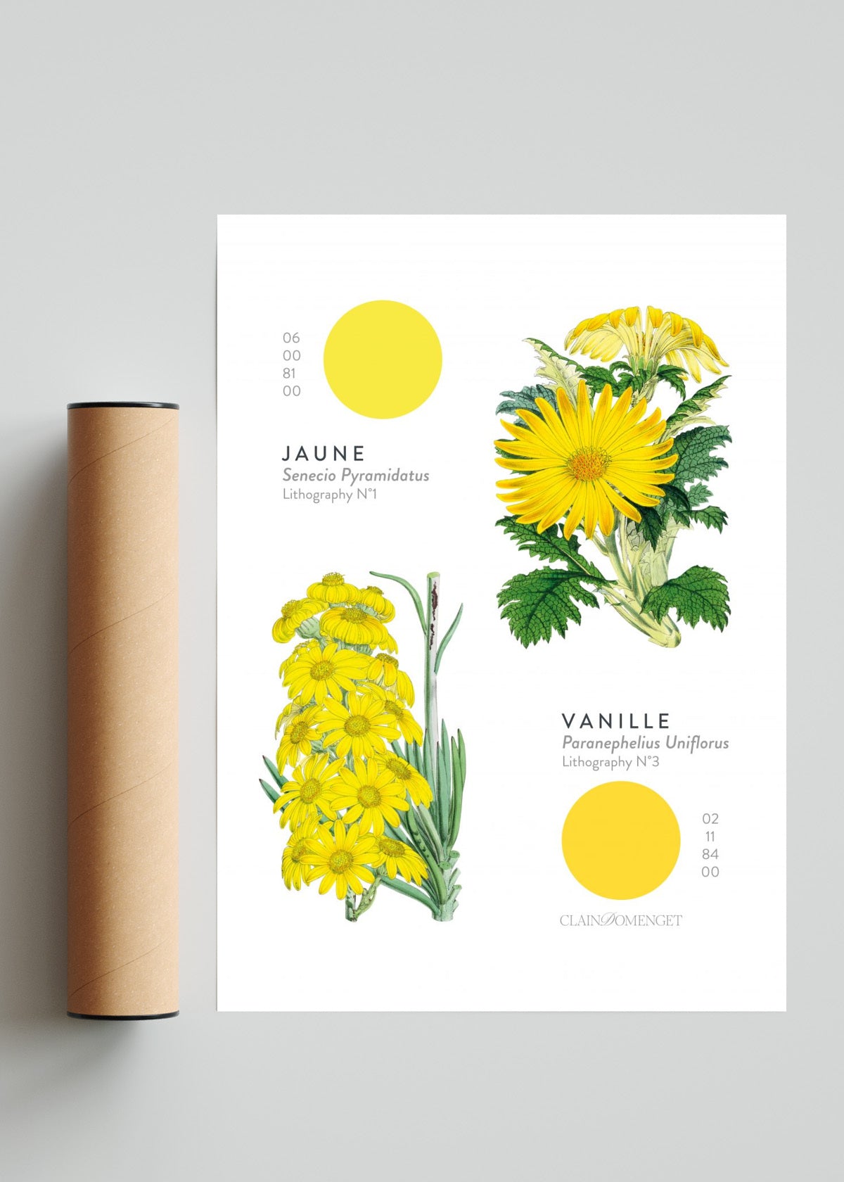 FLEURS ET COULEURS - Retrato solo print