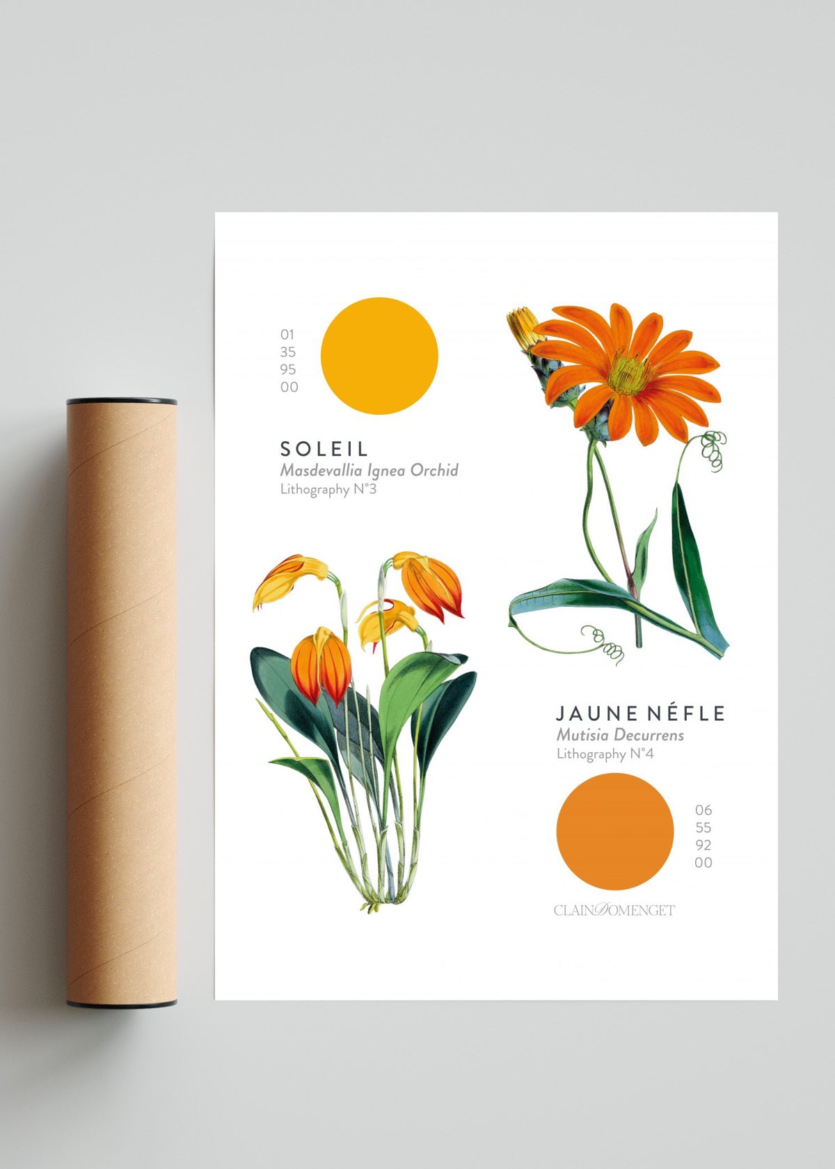 FLEURS ET COULEURS - Retrato solo print