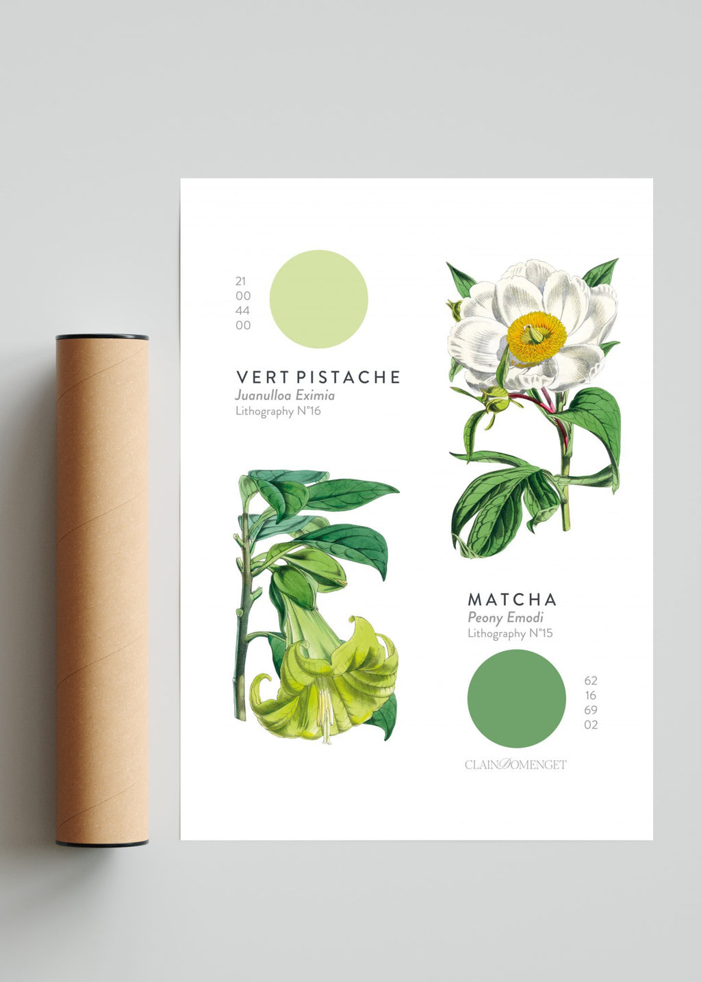 FLEURS ET COULEURS - Retrato solo print