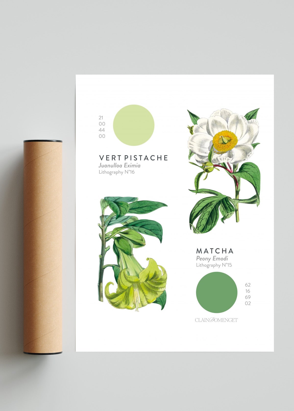 FLEURS ET COULEURS - Retrato solo print