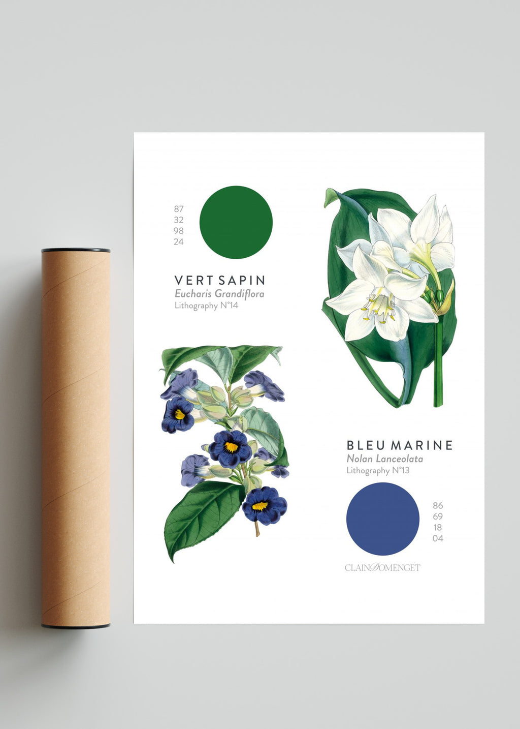 FLEURS ET COULEURS - Retrato solo print