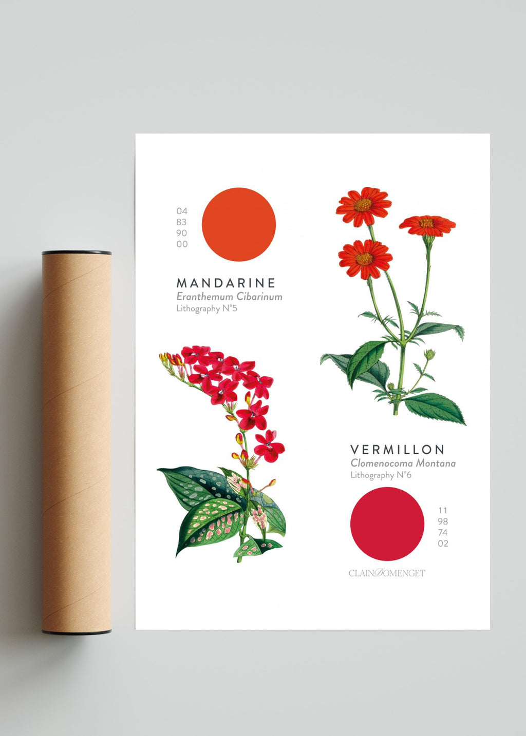 FLEURS ET COULEURS - Retrato solo print