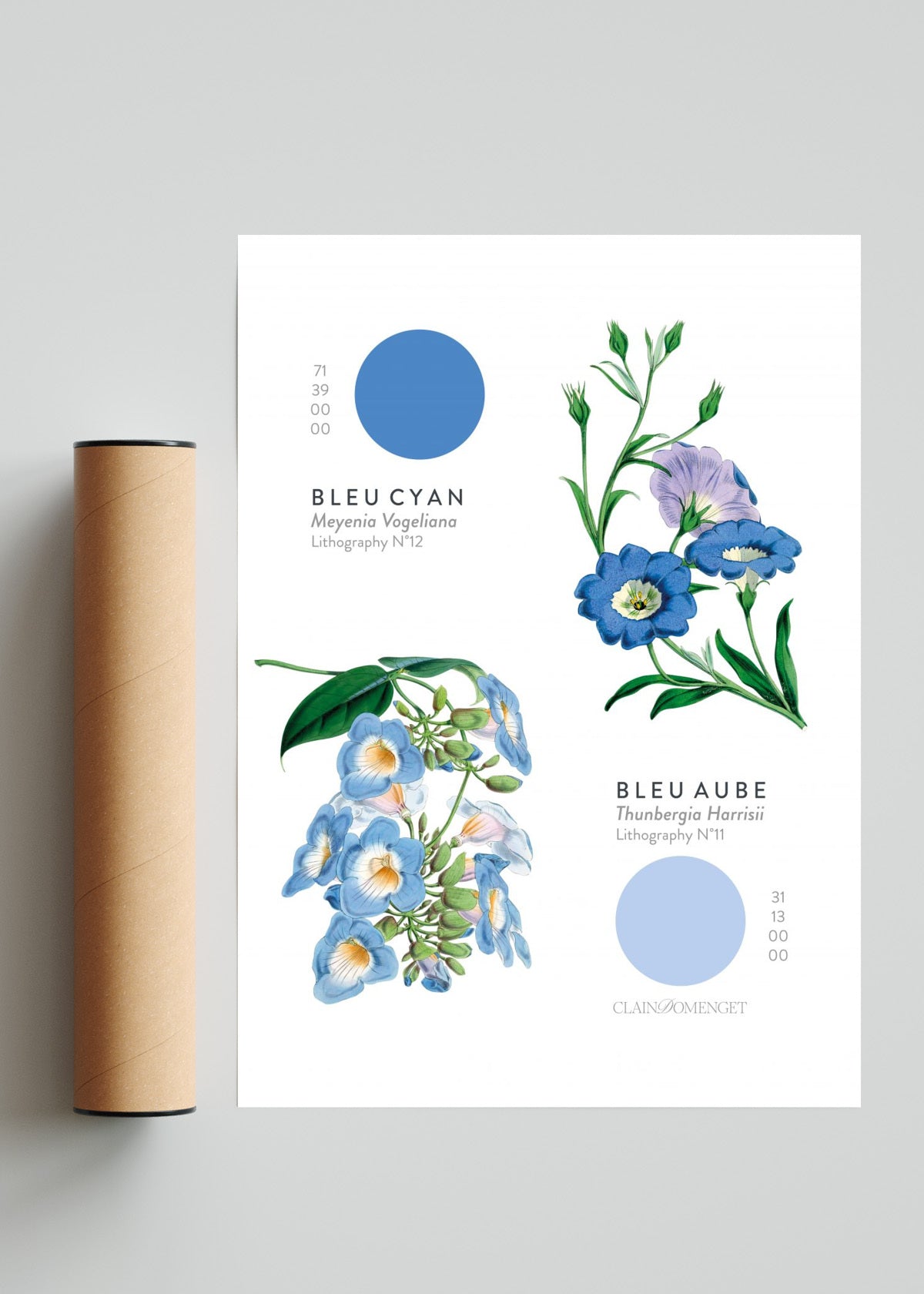 FLEURS ET COULEURS - Retrato solo print
