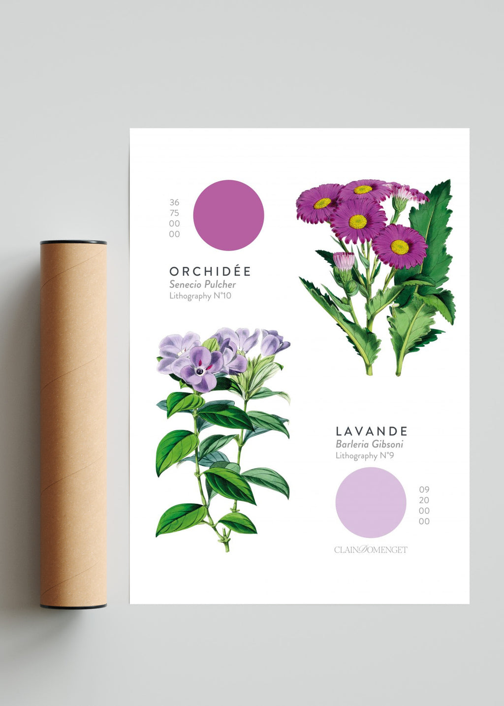 FLEURS ET COULEURS - Retrato solo print