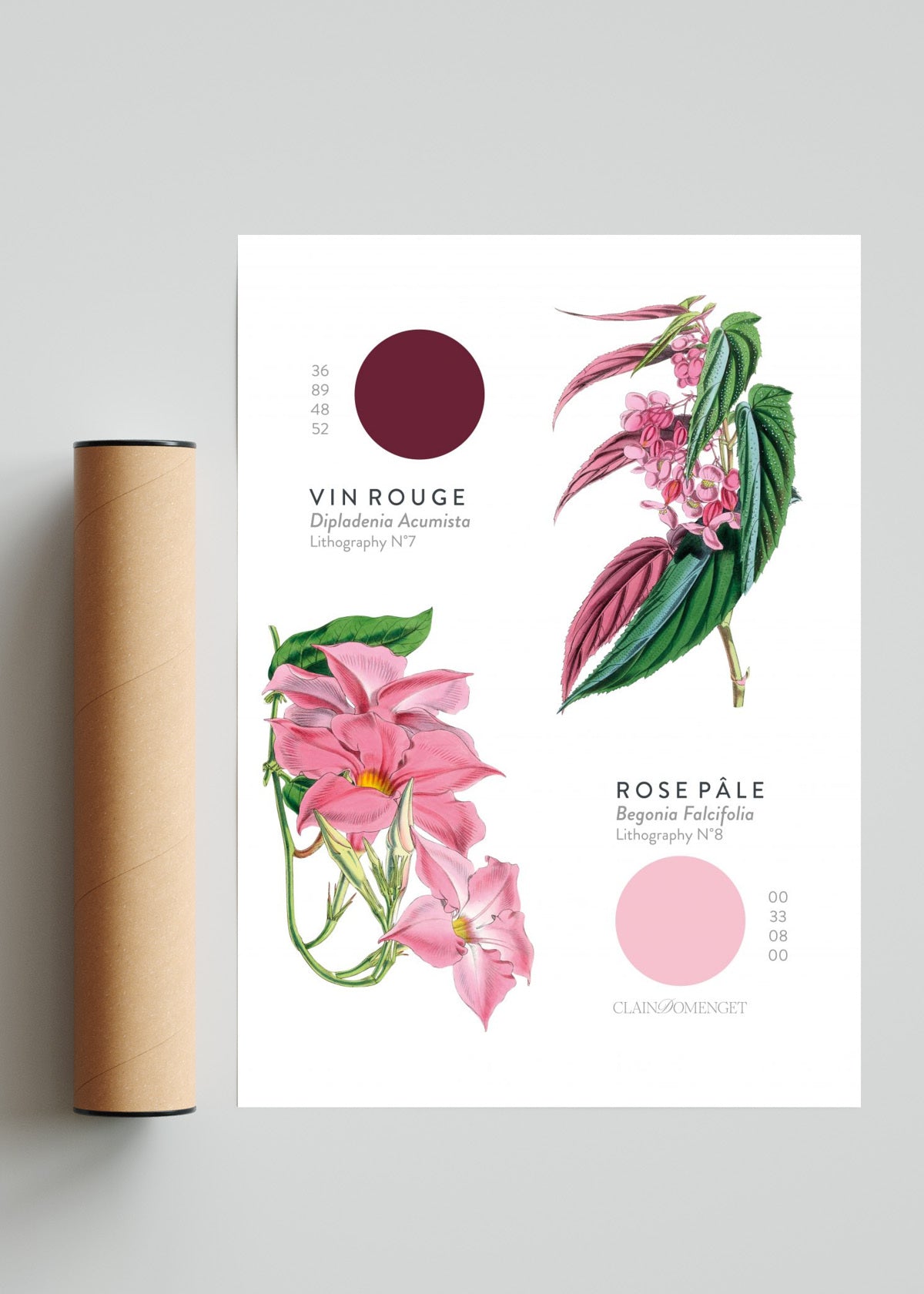 FLEURS ET COULEURS - Retrato solo print