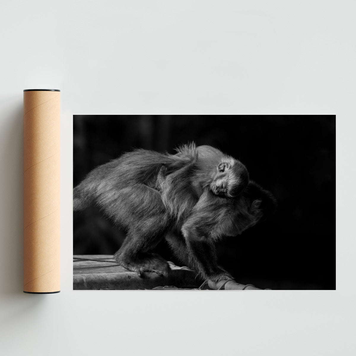 Refugio - FotoH solo print