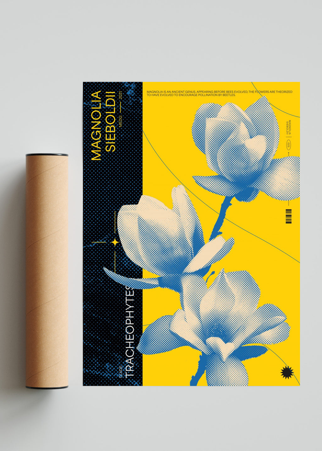 Magnolia - Retrato solo print