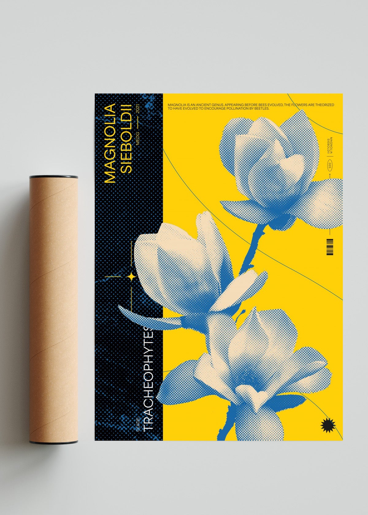 Magnolia - Retrato solo print