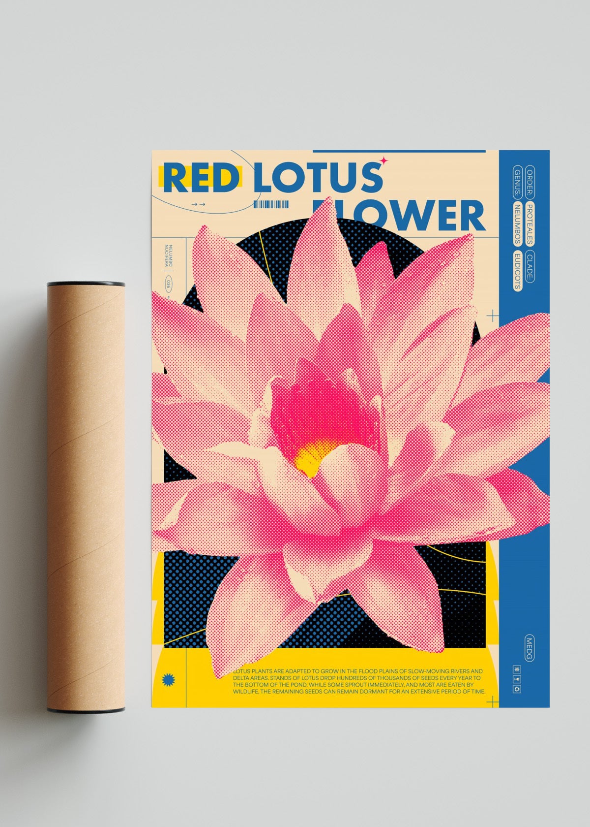 Red Lotus - Retrato solo print