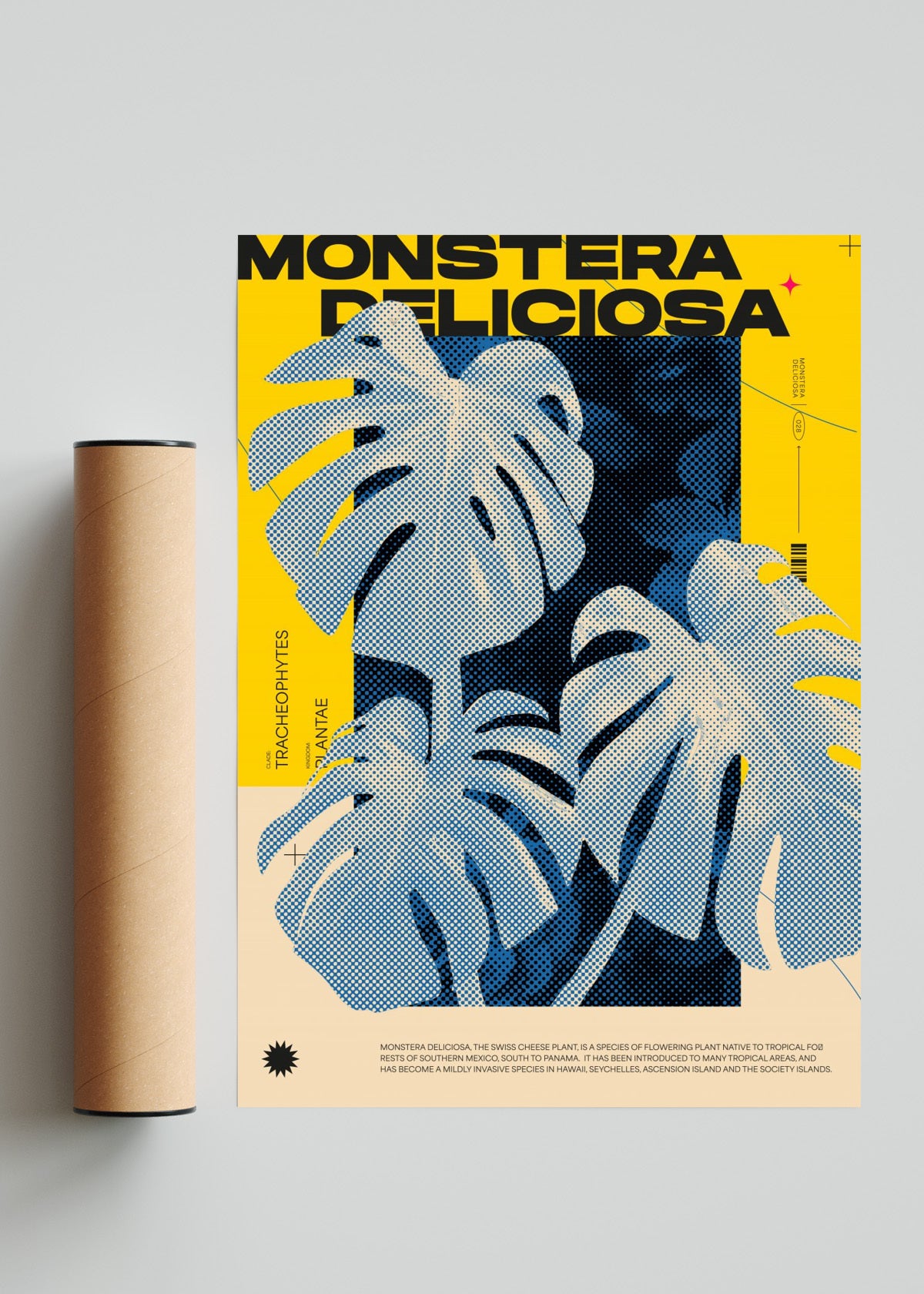 Monstera Deliciosa - Retrato solo print