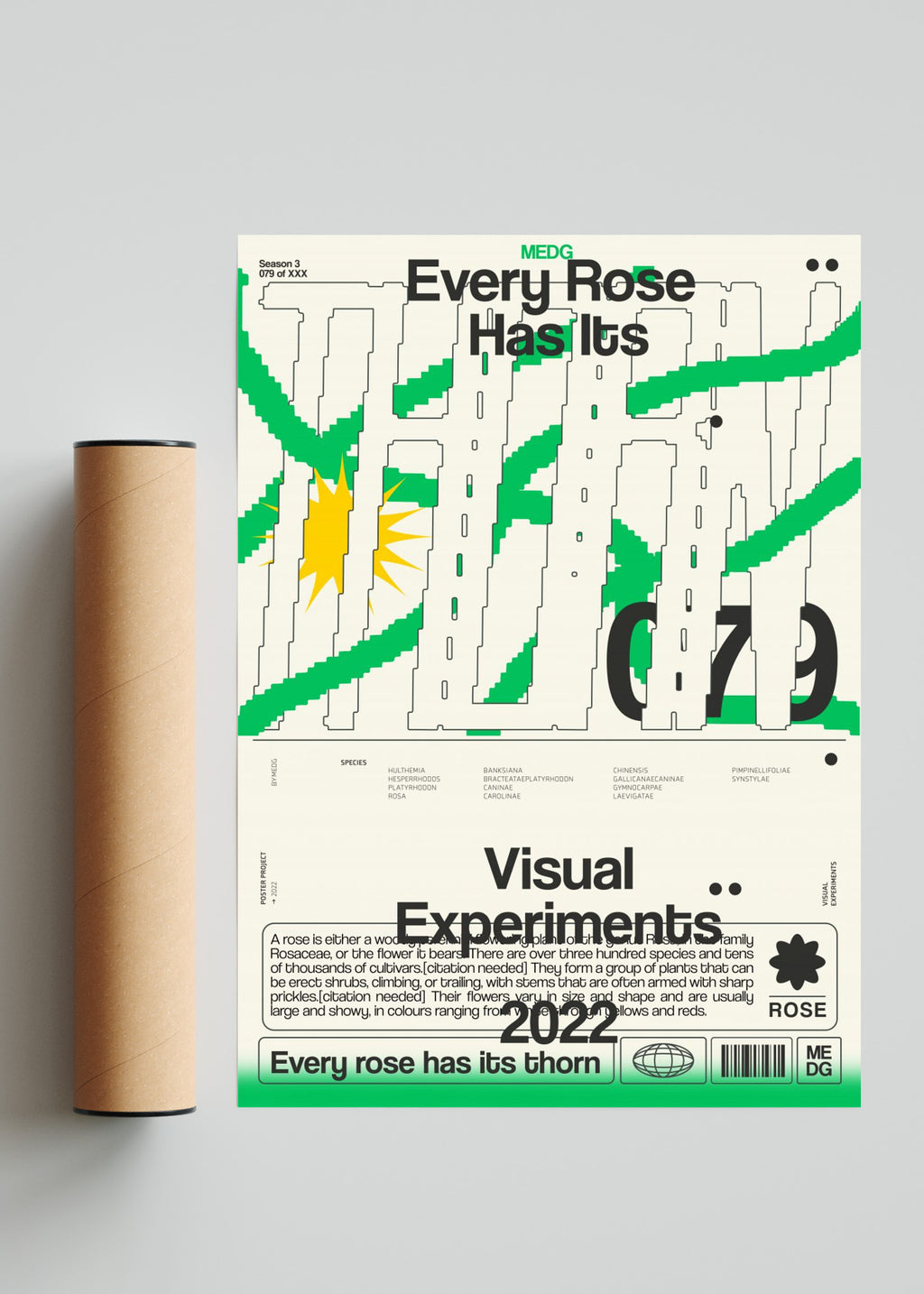 Every Rose Has Its Thorn - Retrato solo print