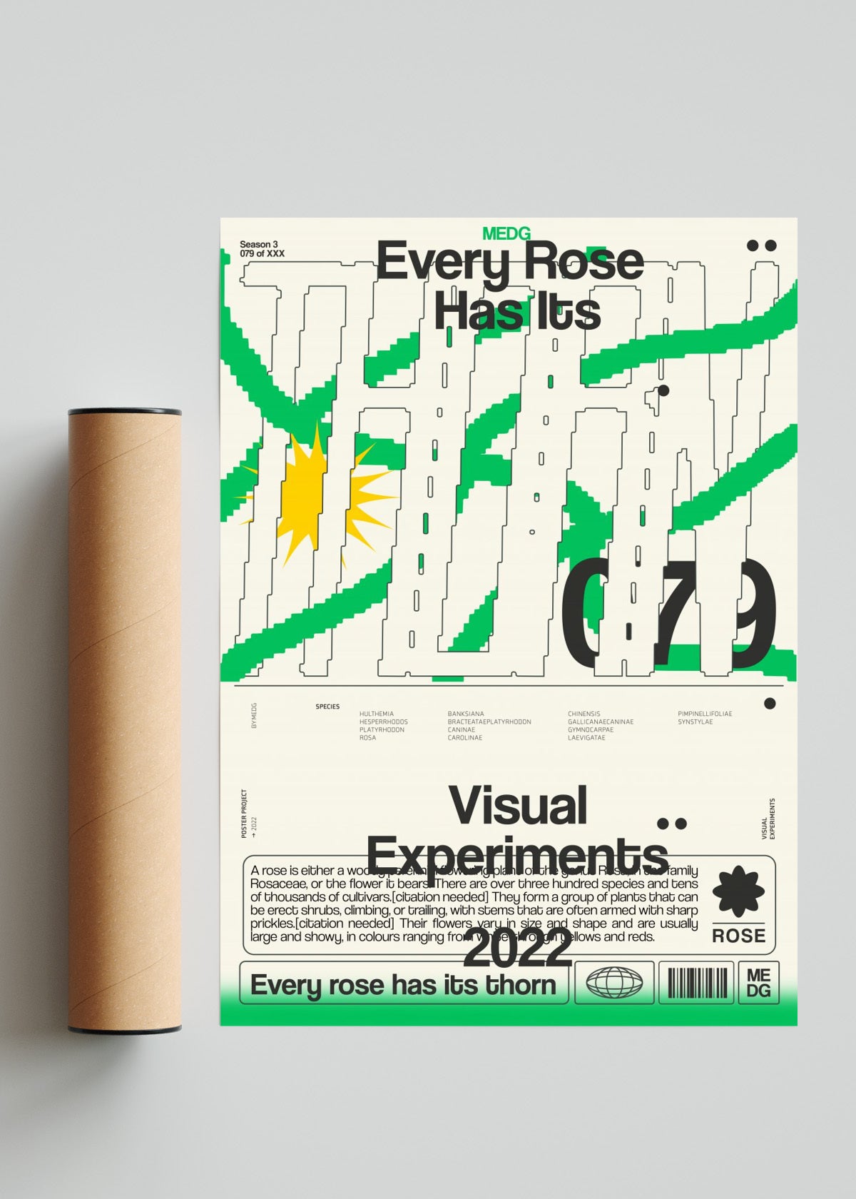 Every Rose Has Its Thorn - Retrato solo print