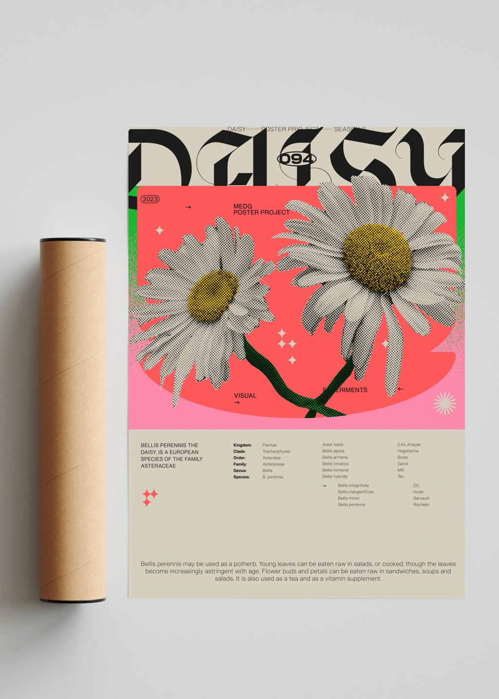 Daisy - Retrato solo print