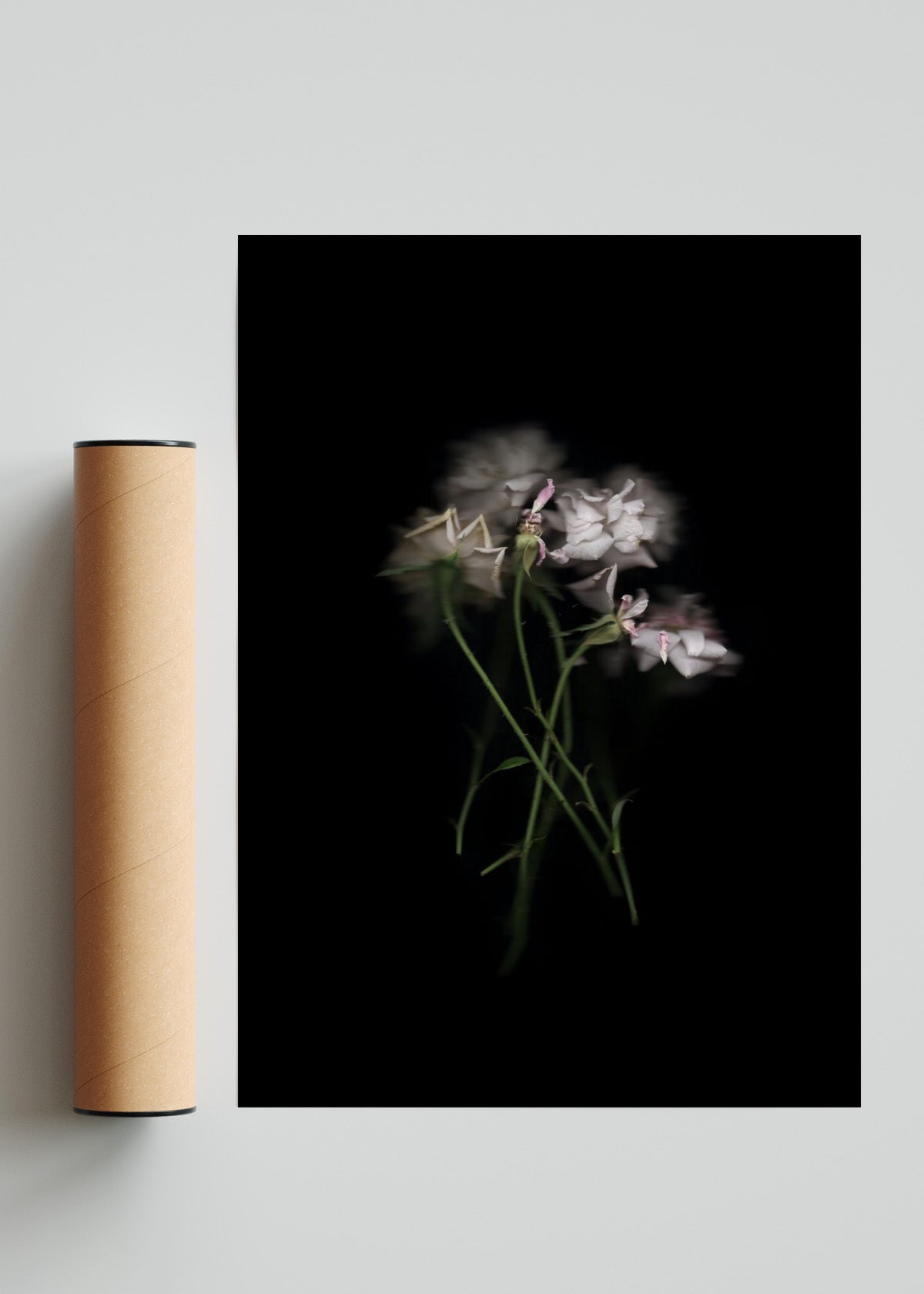 Rosas Rococó - Retrato solo print