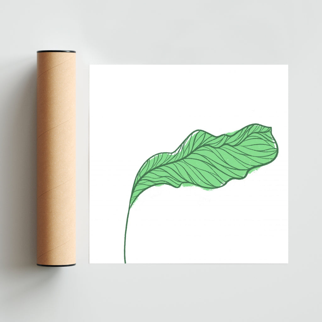 Botanic - Cuadrado solo print