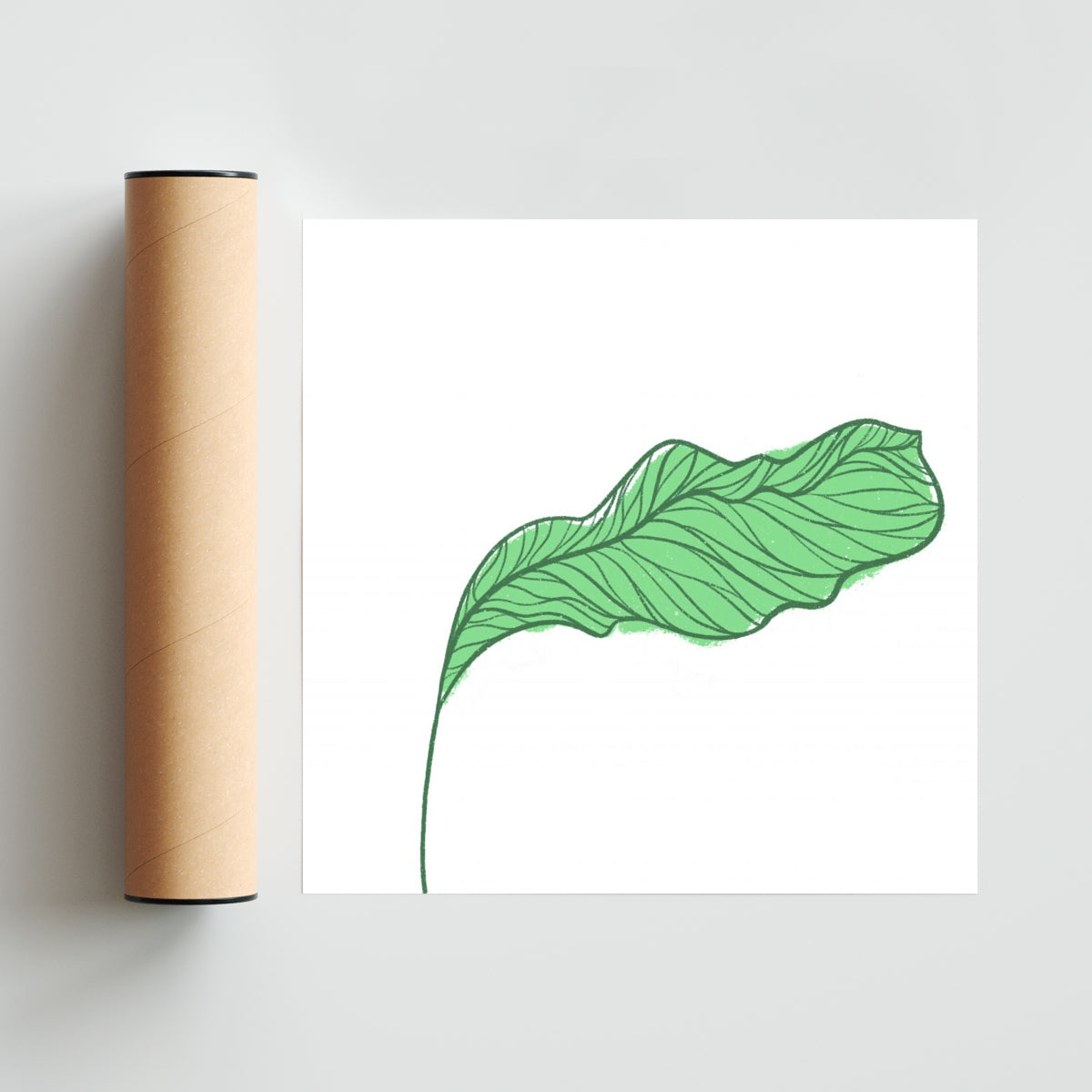 Botanic - Cuadrado solo print