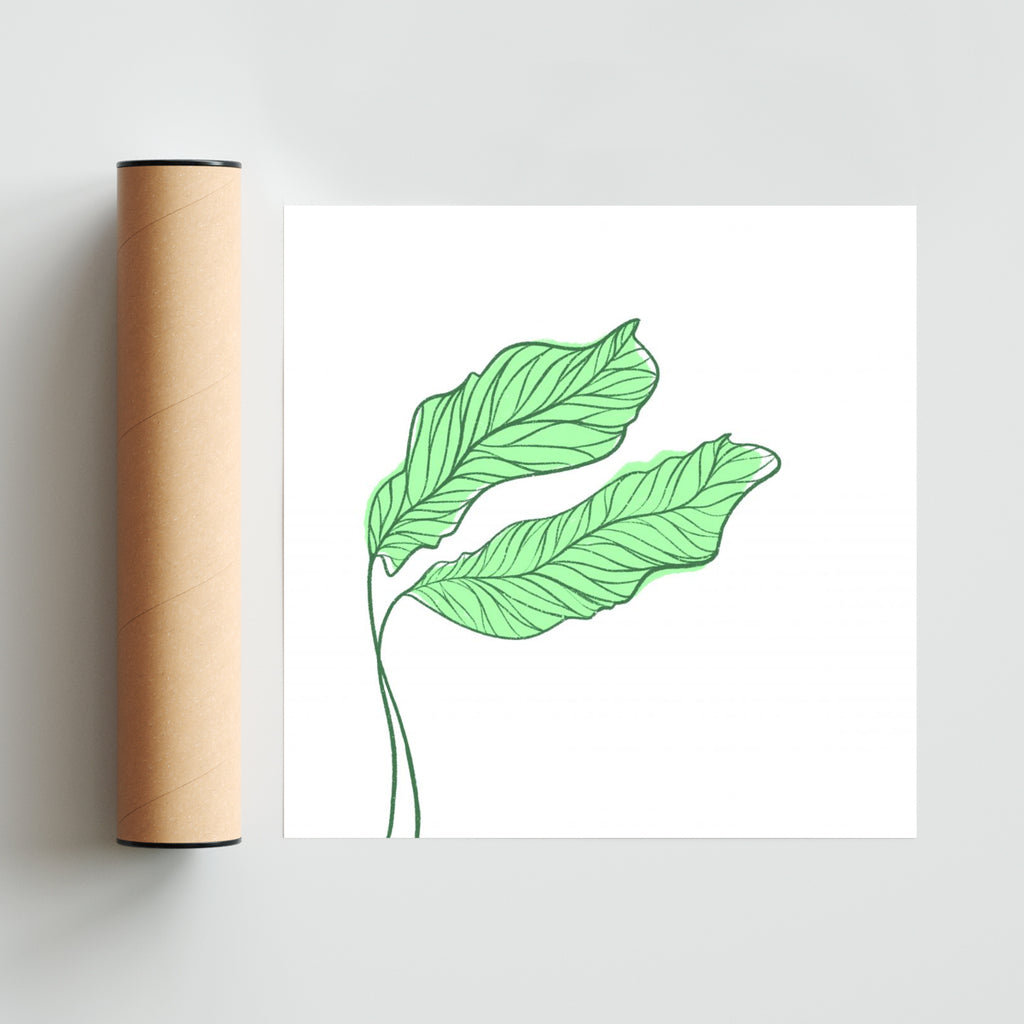Botanix - Cuadrado solo print
