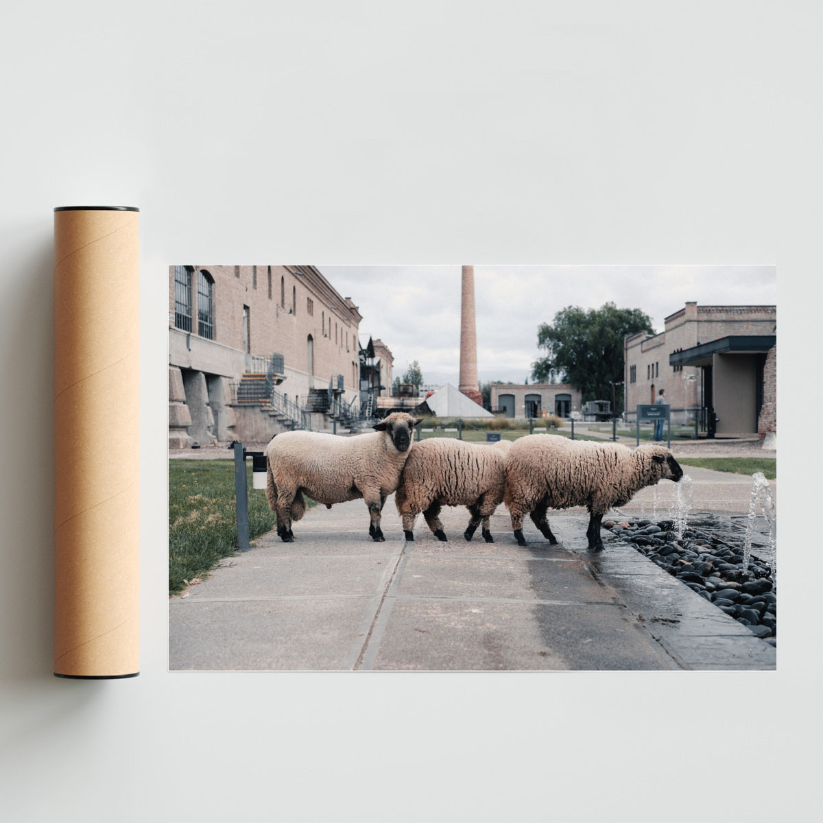 Hermandad - FotoH solo print