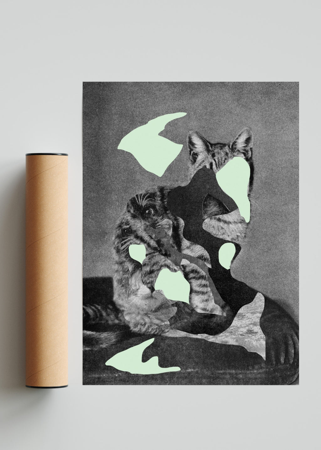 Gato - Retrato solo print