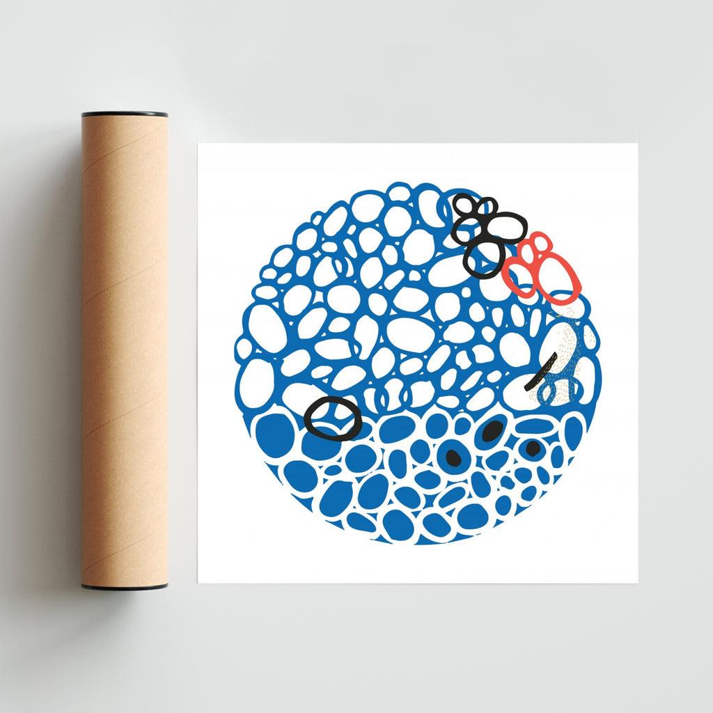 STONE CIRCLE - AZUL - Cuadrado solo print