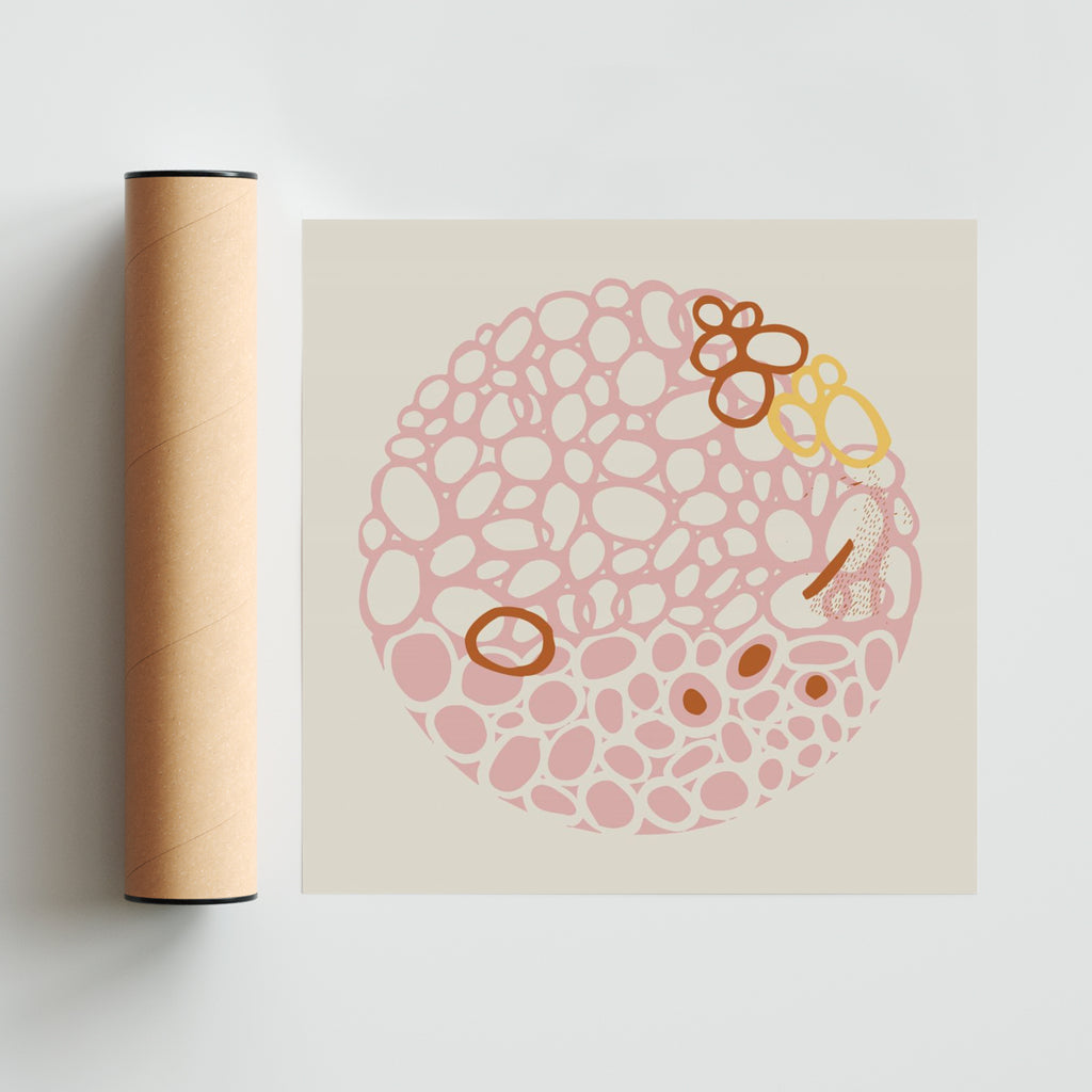 STONE CIRCLE - PALE PINK - Cuadrado solo print