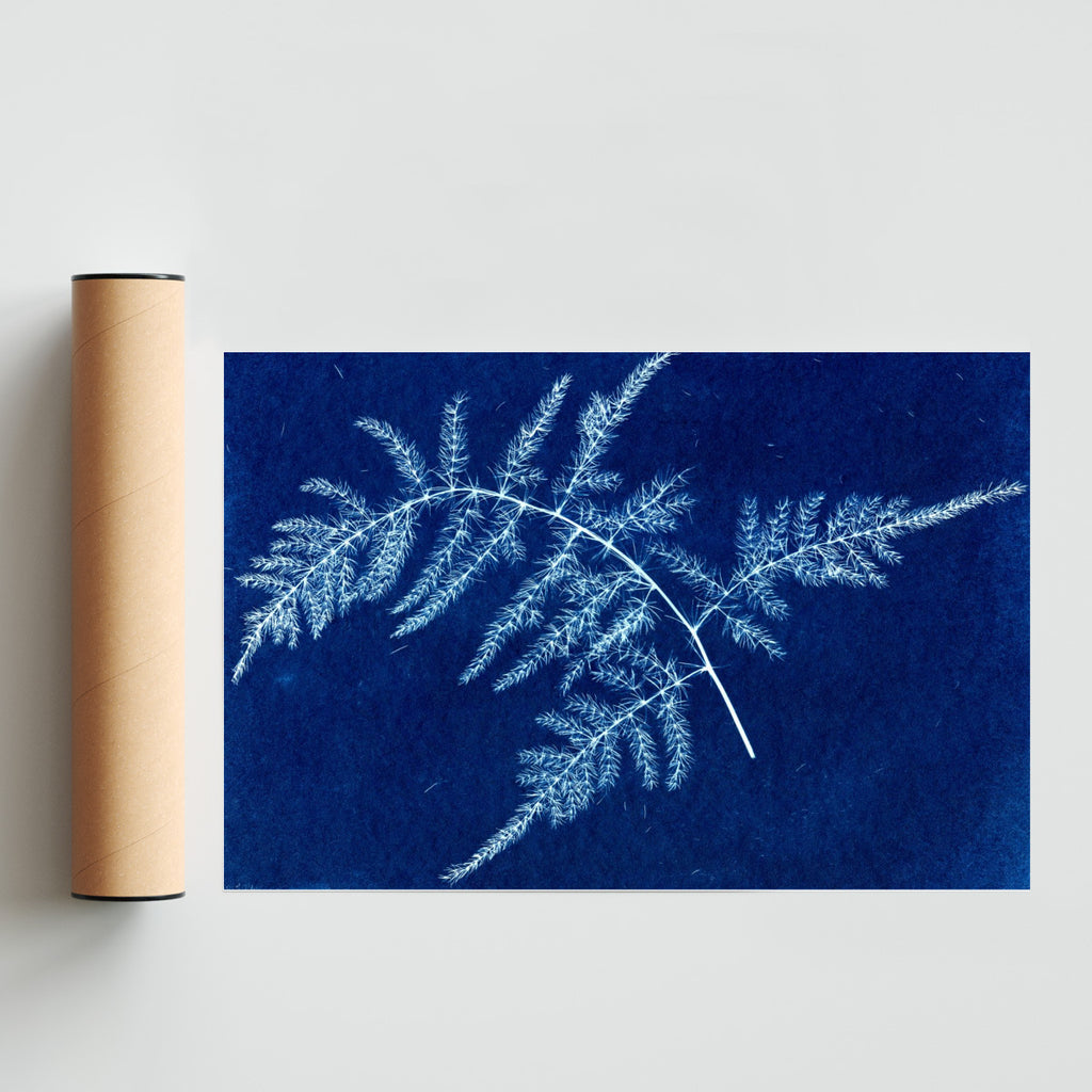 Esparragus - FotoH solo print