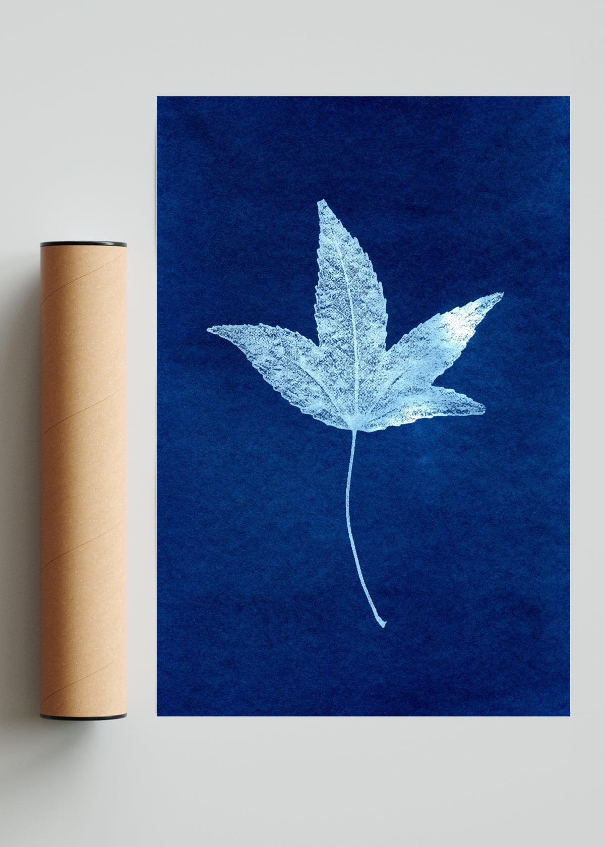 Hoja de Arce - FotoV Solo print