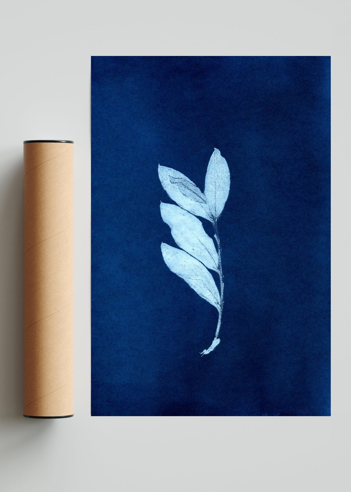 Rama y hoja - FotoV Solo print