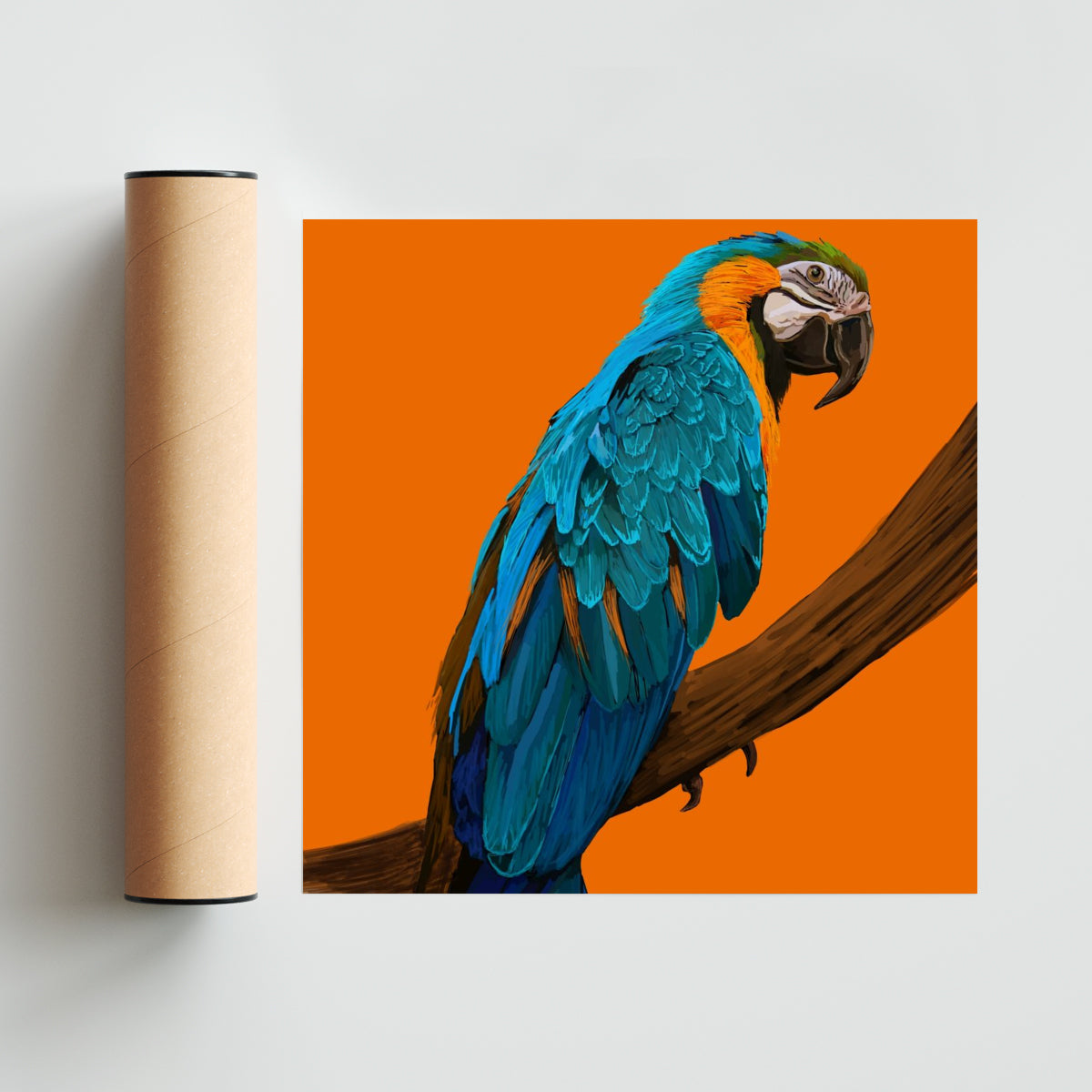 Animal #1 - Cuadrado solo print