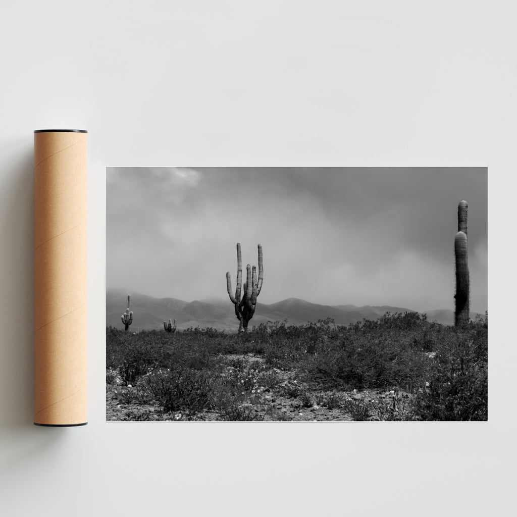 Cardones - FotoH solo print