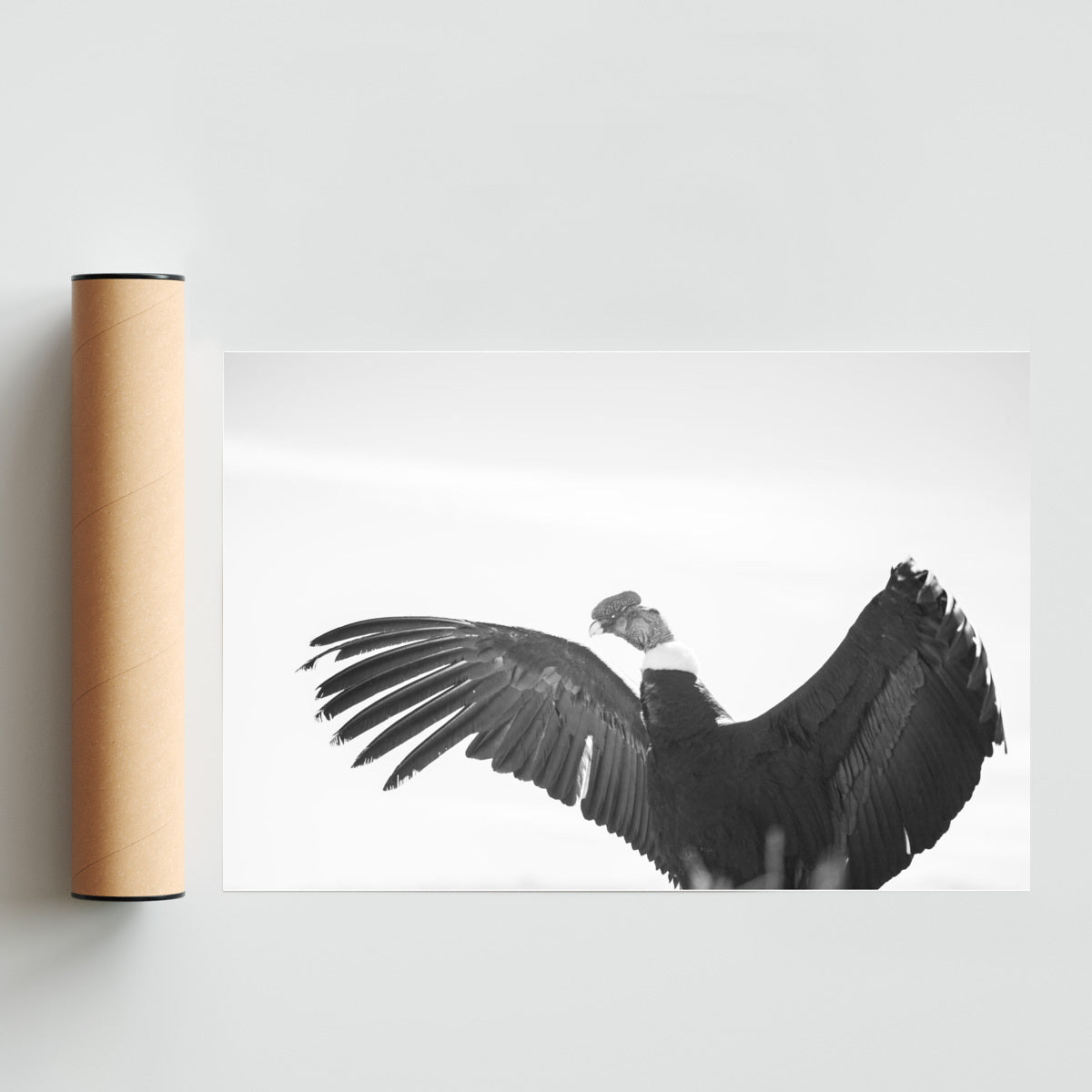El Mensajero de los vientos - FotoH solo print