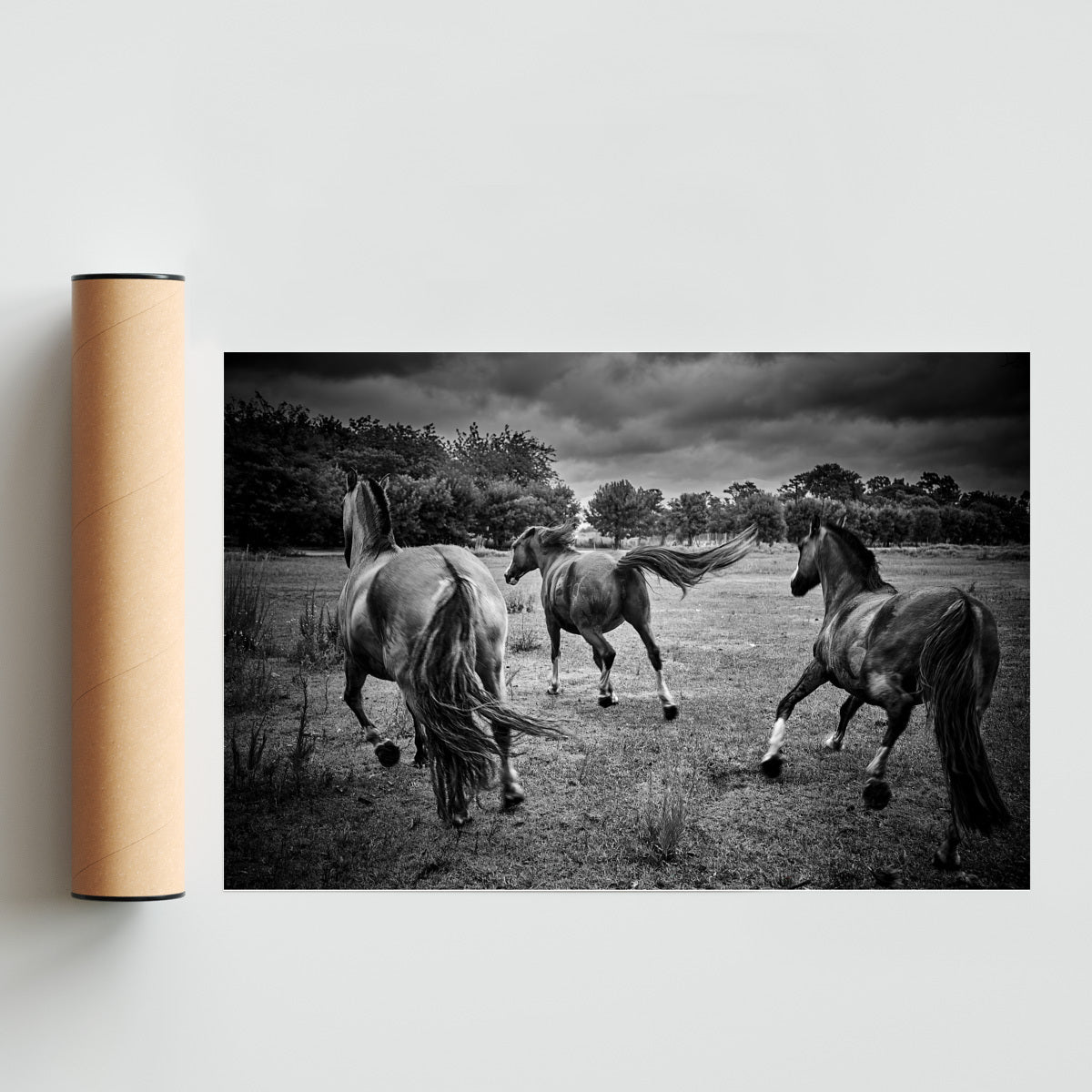 Galope - FotoH solo print