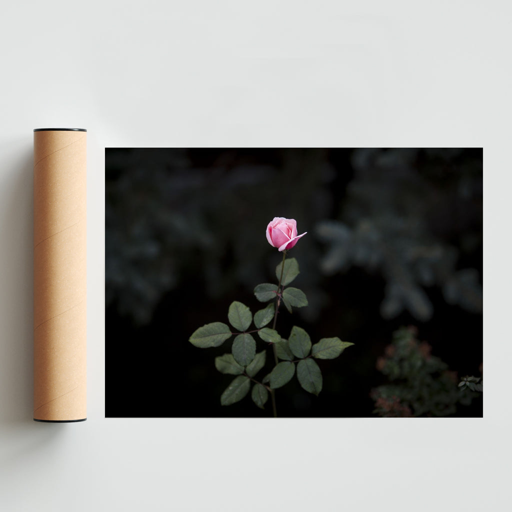 La Flor - Paisaje Solo print
