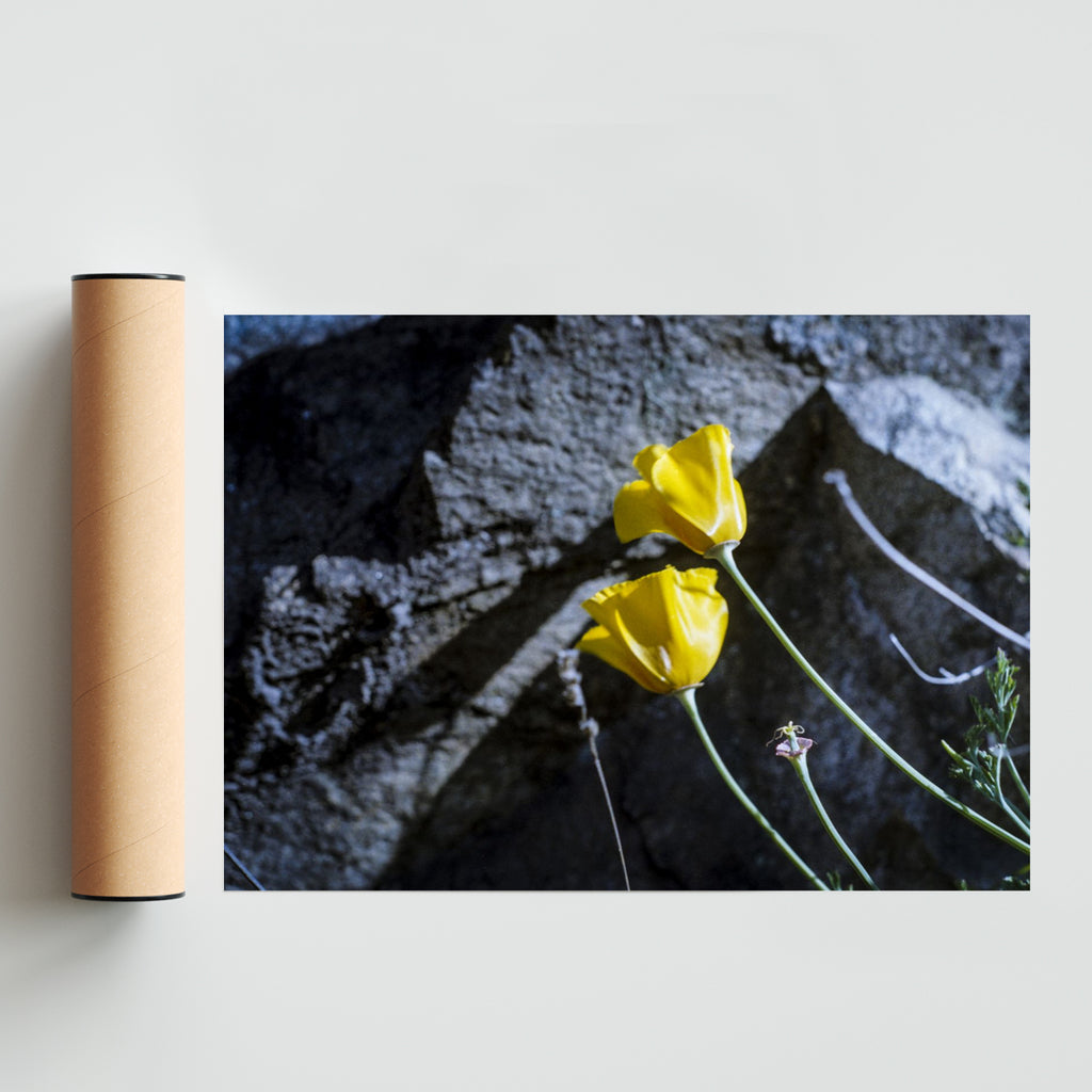 Flor amarilla - Paisaje Solo print