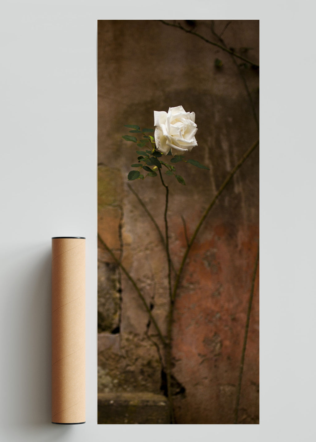Flor Blanca - PanoV solo print