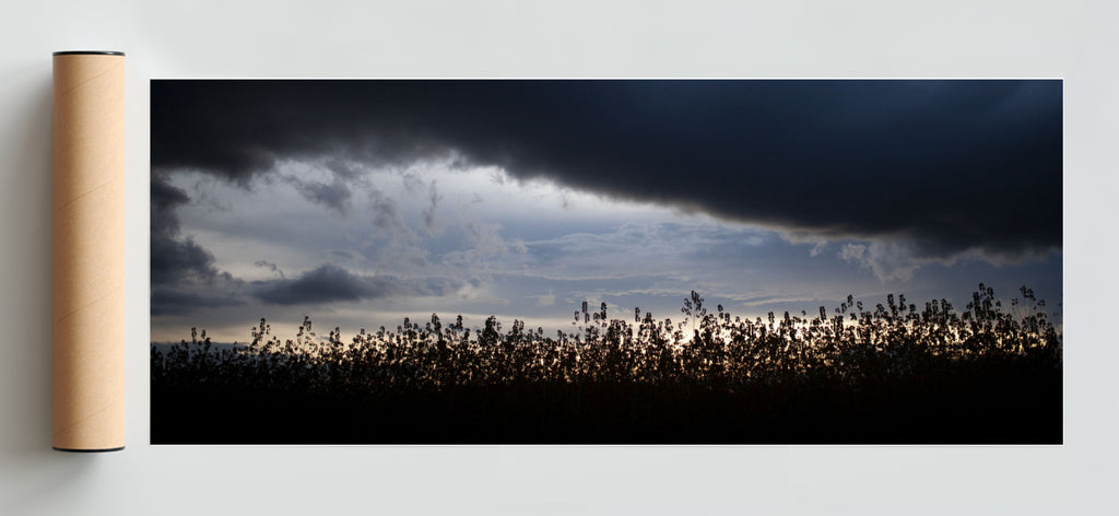 Cielito - Pano H Solo print