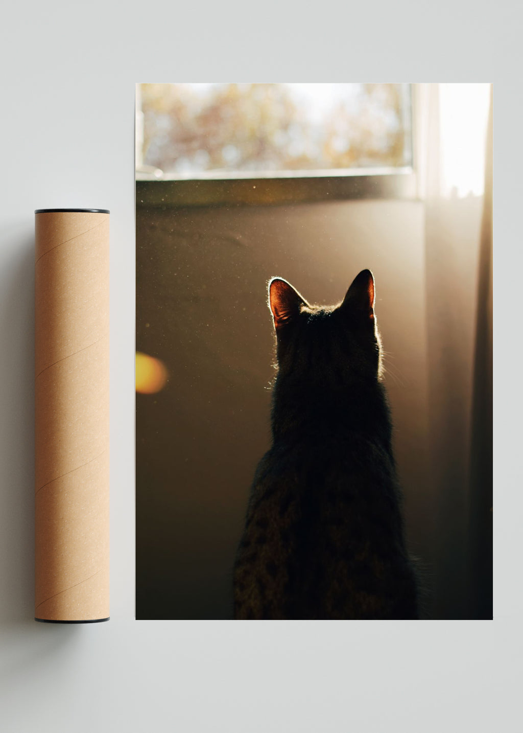 Compañía - FotoV Solo print