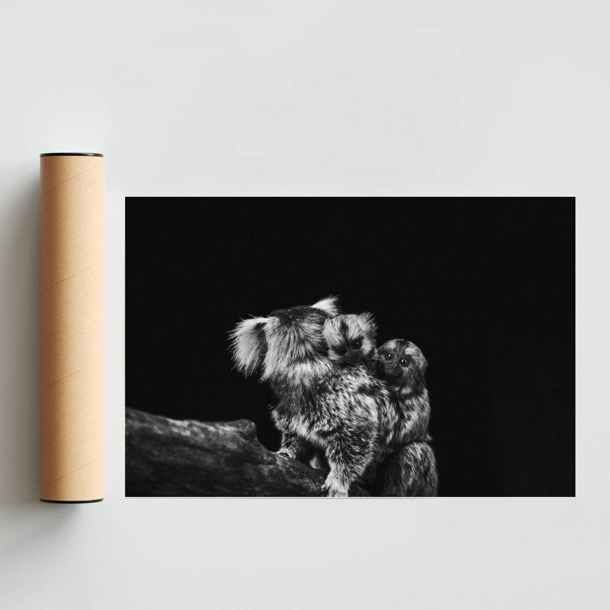Los mellizos. - FotoH solo print