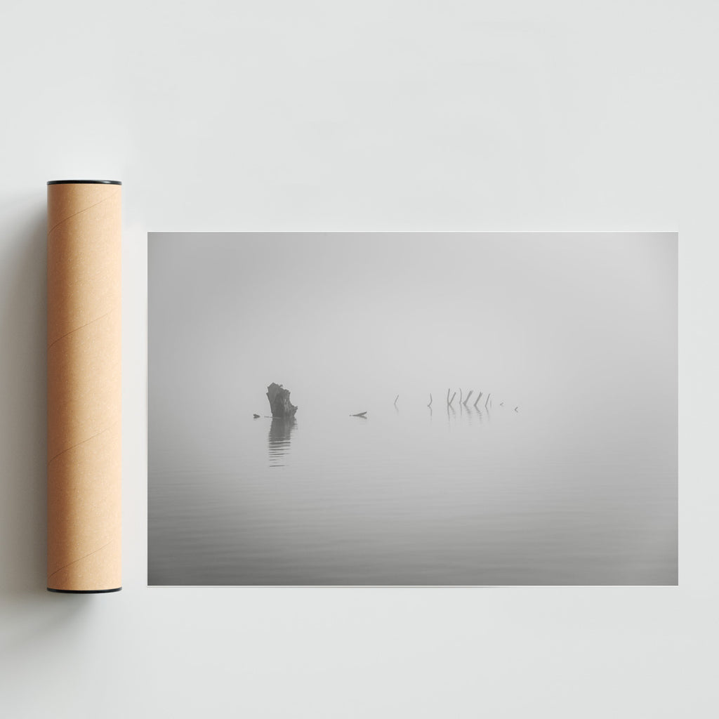El esqueleto - FotoH solo print