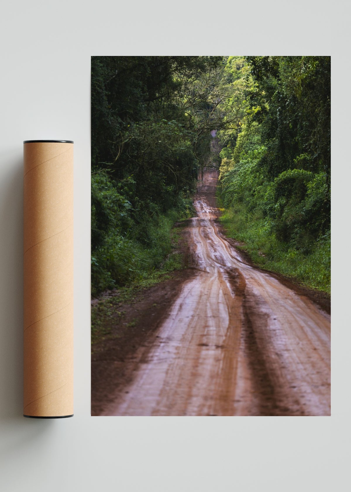 Ruta en la selva - FotoV Solo print