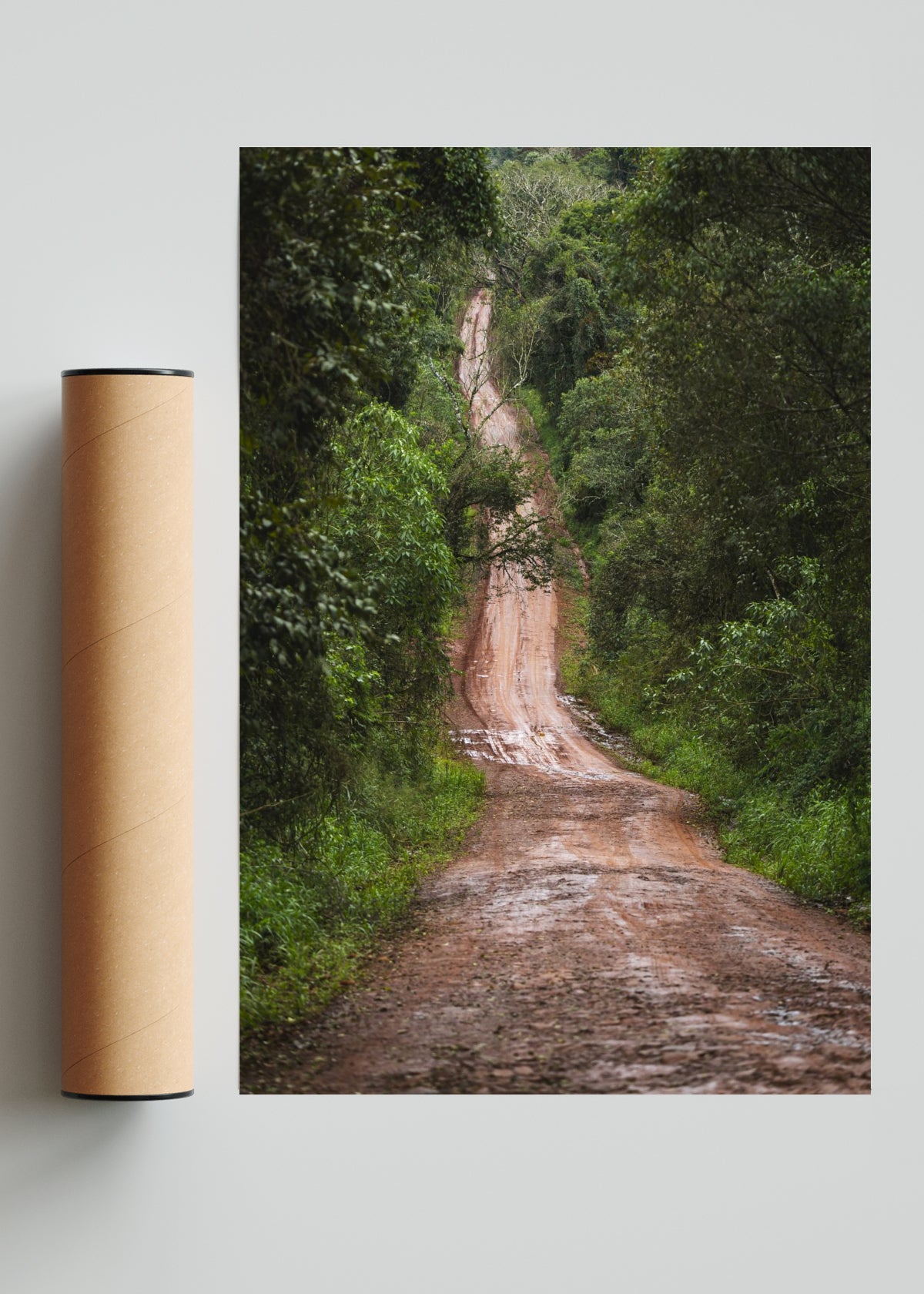 En la selva - FotoV Solo print