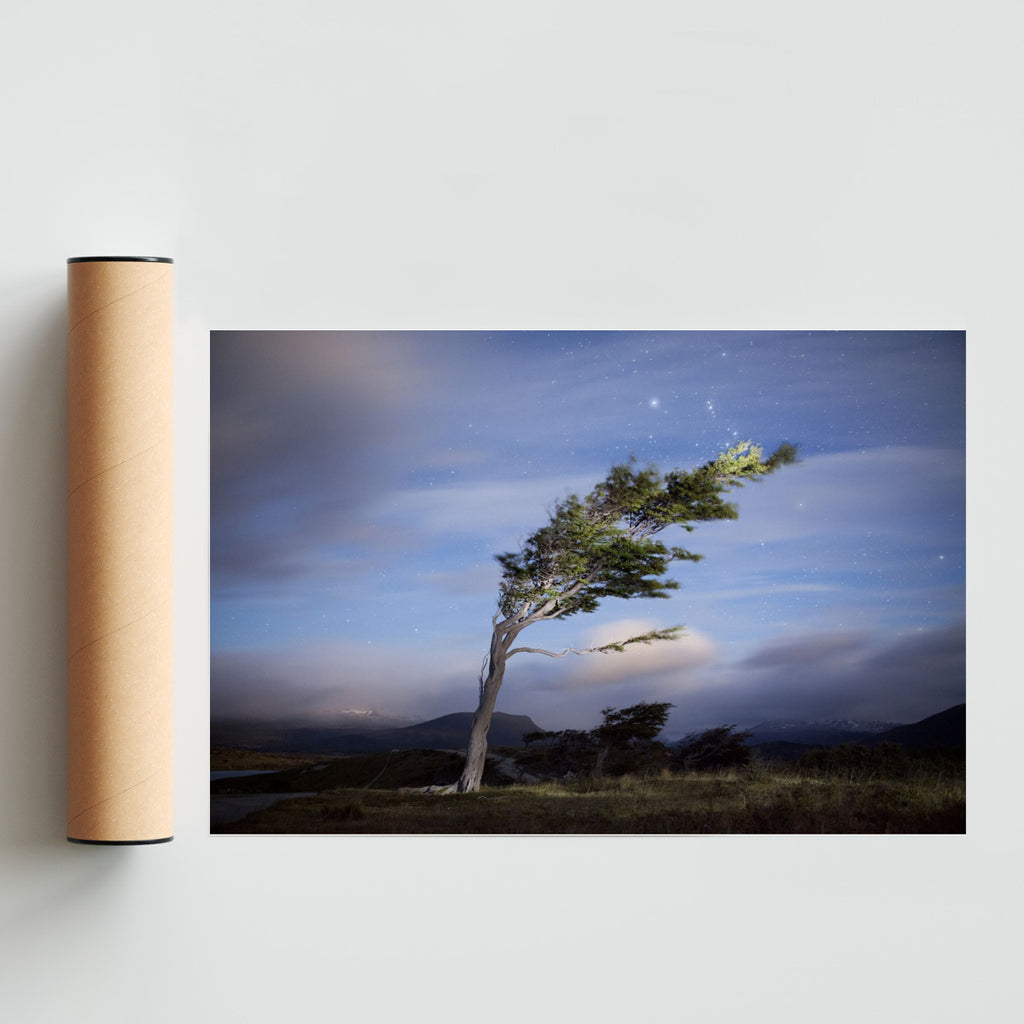 La caricia del viento - FotoH solo print