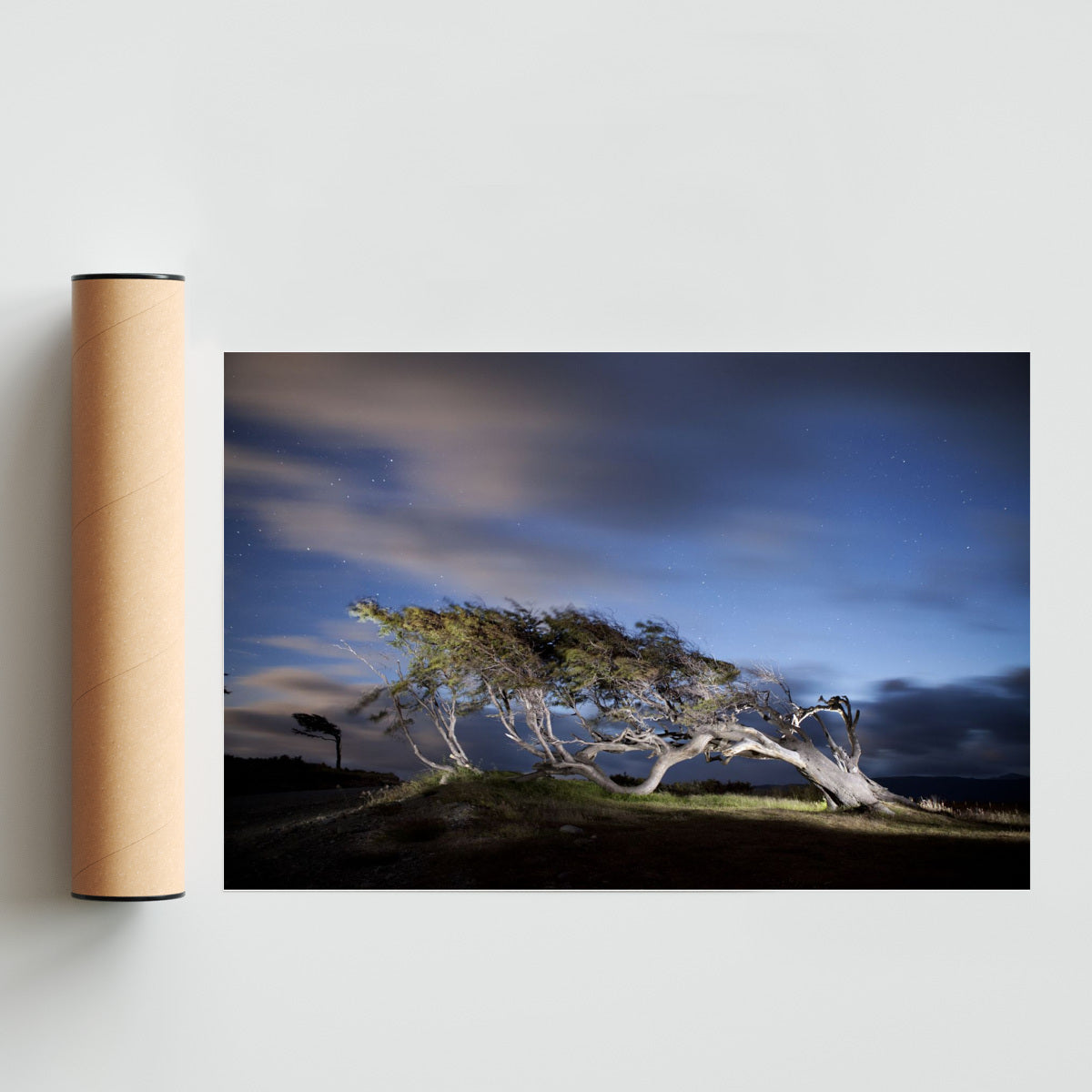 Arbol Bandera - Ushuaia - FotoH solo print