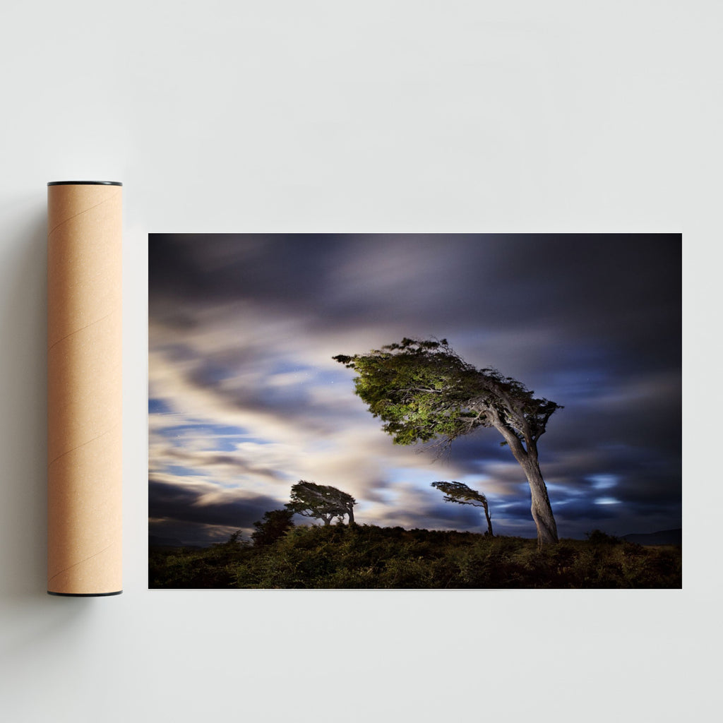 La danza del viento - FotoH solo print