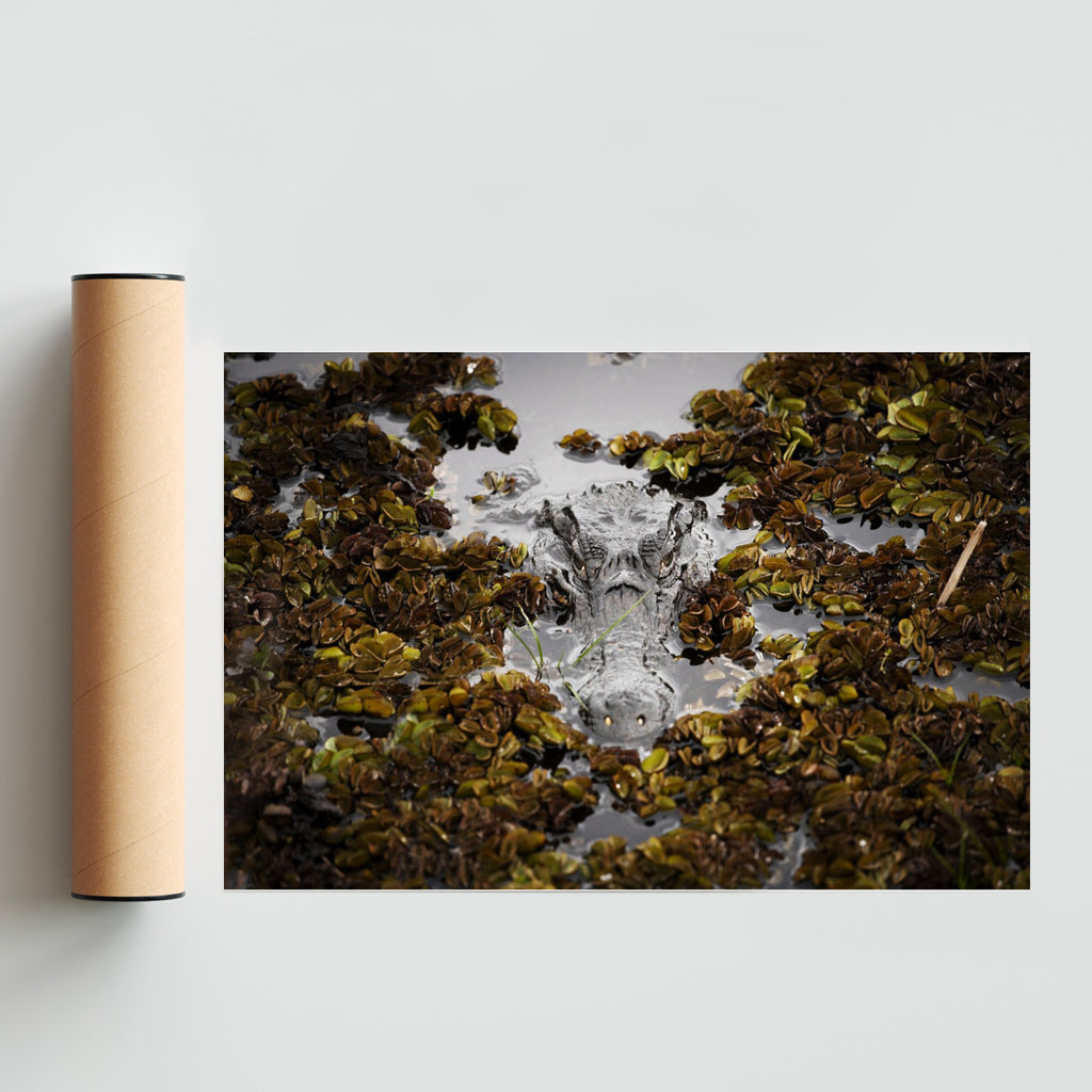 Yakare Camuflado - FotoH solo print
